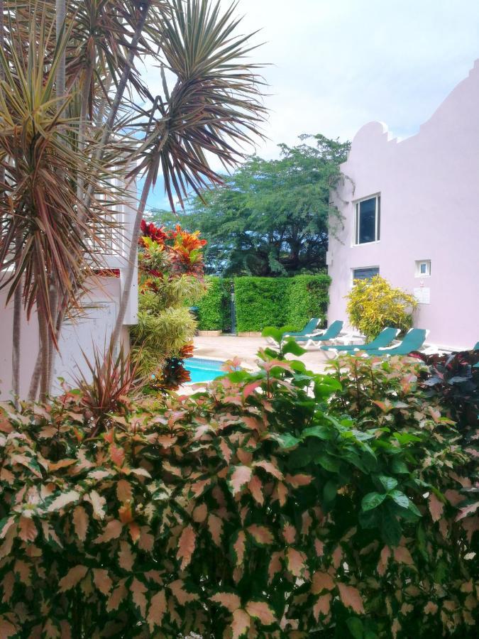 Agua Clara Eco Suites Ораниестад Екстериор снимка